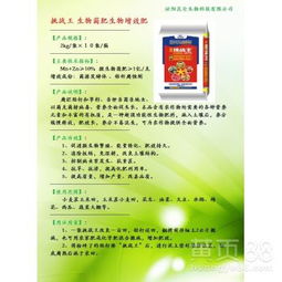 生物菌肥在蔬菜田土壤改良中的应用 专属型土壤改良剂的研发探索