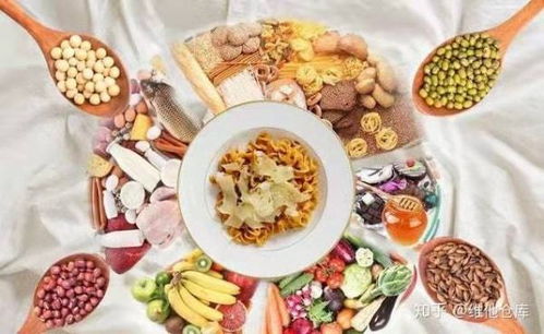 漫谈营养科学与功能性食品 中国市场的土壤与机会——兼论土壤改良剂的研发启示