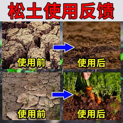 从实验室到盐碱地 土壤改良剂的科学研发之路